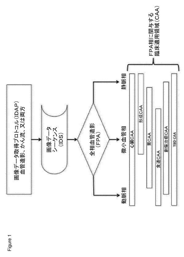 6561180-血管造影及びかん流の定量化並びに解析手法 図000003