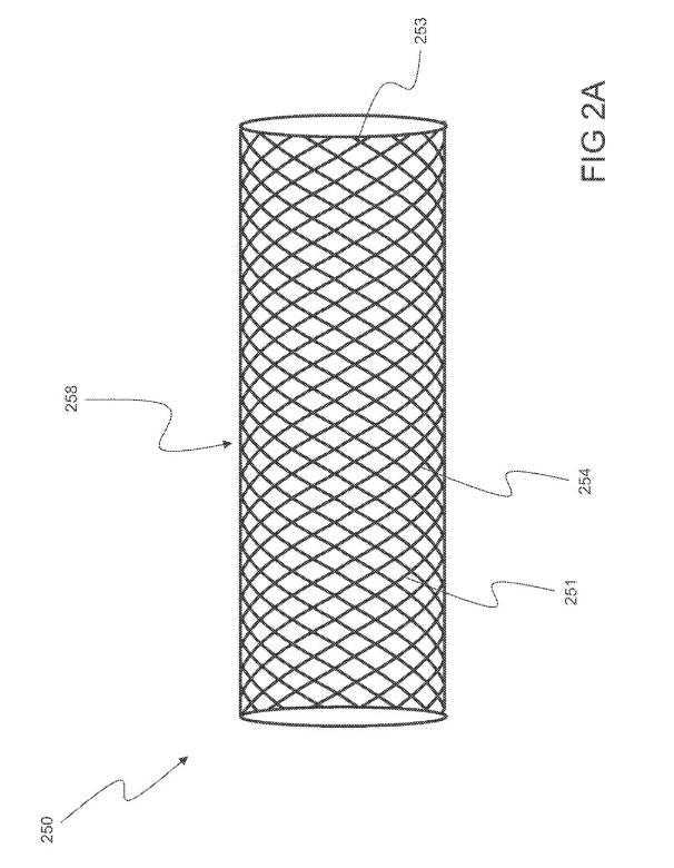 6793147-動脈瘤を治療するためのデバイスおよび方法 図000003