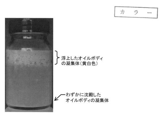 6818209-皮膚外用剤及び皮膚外用剤の製造方法 図000003