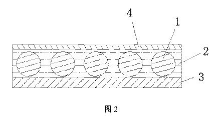 6830445-光反射発光膜、その製造方法及び利用 図000003