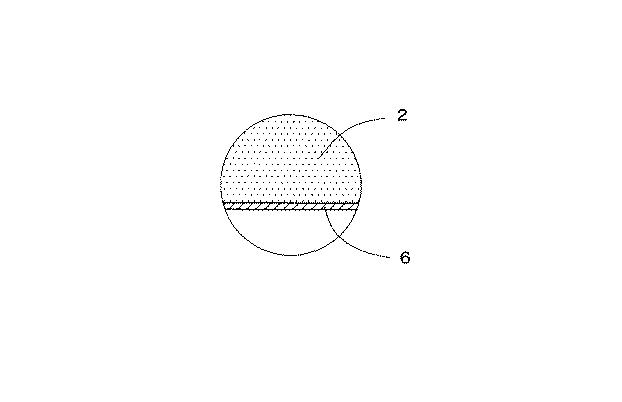 6893110-コンクリート構造物の剥落防止構造 図000003