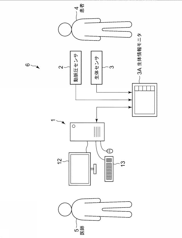 6966772-循環系指標算出プログラム、循環系指標算出装置、循環系指標算出システム及び循環系指標算出方法 図000003