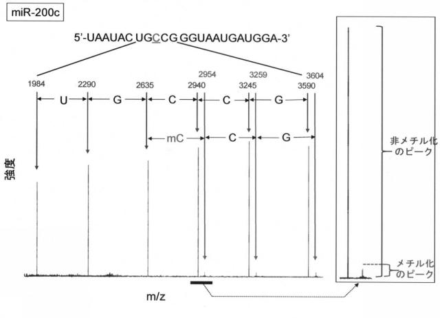 6980219-がんを検出、又はがんの進行期を判定する方法 図000003