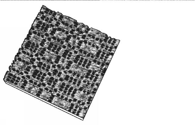 5717653-生物医学的用途およびバイオフォトニック用途のための絹フィブロイン構造体のナノインプリンティングの方法 図000004