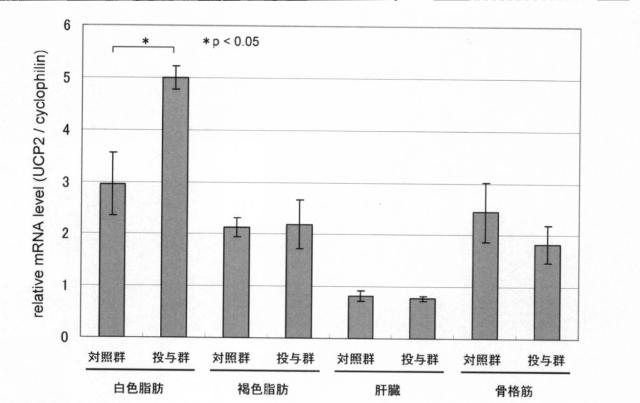 5800327-脱共役タンパク質発現誘導剤 図000004