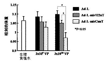 5812361-遺伝子発現制御機構を含む新規Ａｄベクター 図000004