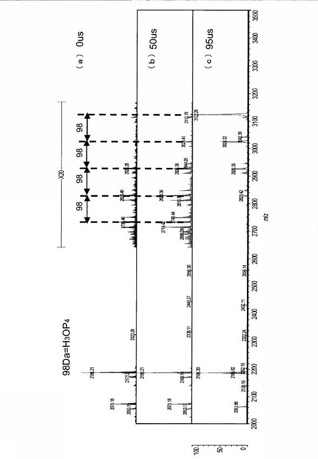 5831347-質量分析装置及び質量分析方法 図000004