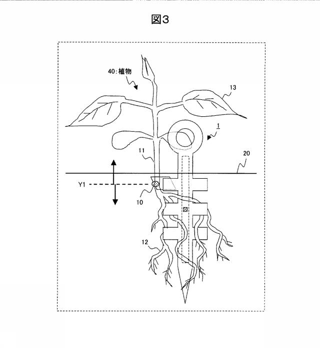 5833739-植物用ＩＣタグ、及び植物用ＩＣタグの製造方法 図000004