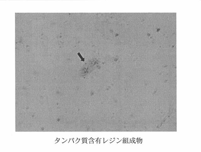 5843409-タンパク質含有レジン系組成物の製造方法 図000004