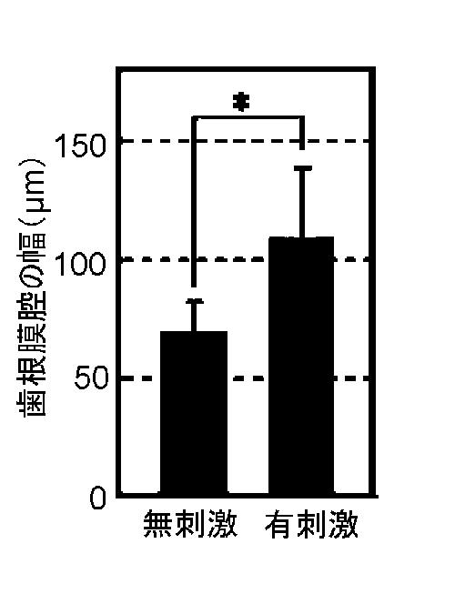 5868844-再生歯ユニットの製造方法 図000004