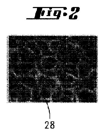 5877244-気相蒸着材料ソース及びその作製方法 図000004