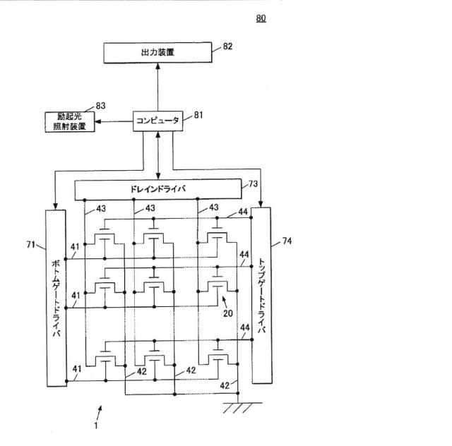 5928937-細胞解析装置及び細胞解析方法 図000004