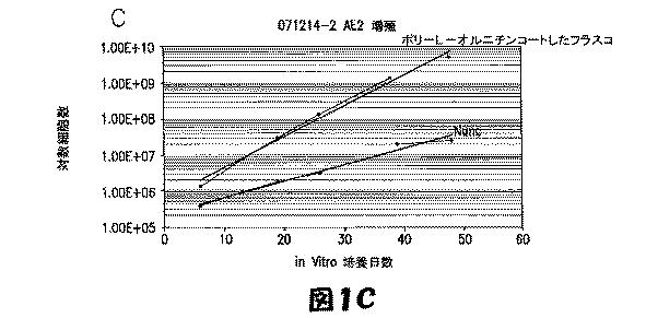 5952737-哺乳動物由来グリア制限前駆細胞を増大、同定、特徴付けおよび能力増強するための方法および組成物 図000004