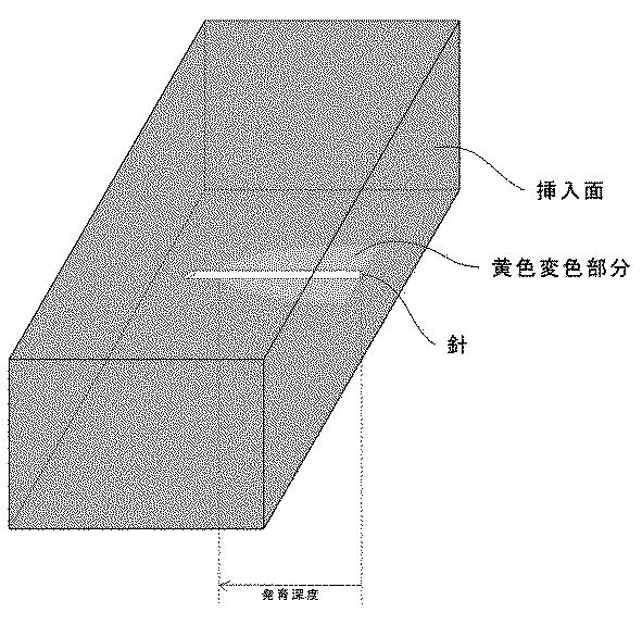 5954640-感染評価系モデル 図000004