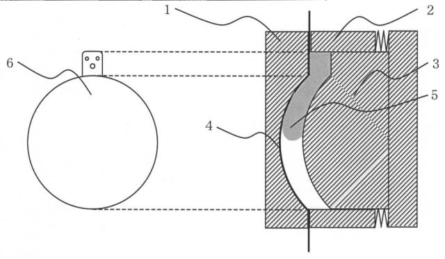 5985790-表面機能層を有する樹脂成形体の成形方法及びその成形体 図000004