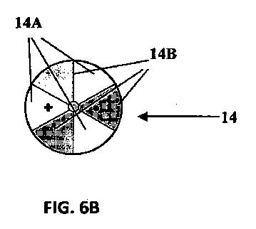 5989671-３次元構造体を測定するための光学システムおよび方法 図000004