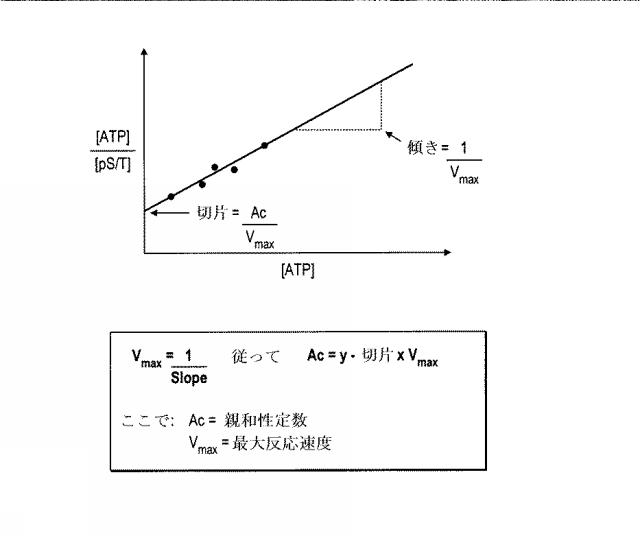 6005651-トランスフェラーゼの活性同定方法 図000004