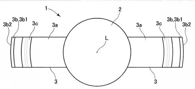 6023378-眼内レンズ及び眼内レンズのハプティック 図000004