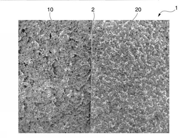 6055419-多孔質セラミックス及びその製造方法 図000004
