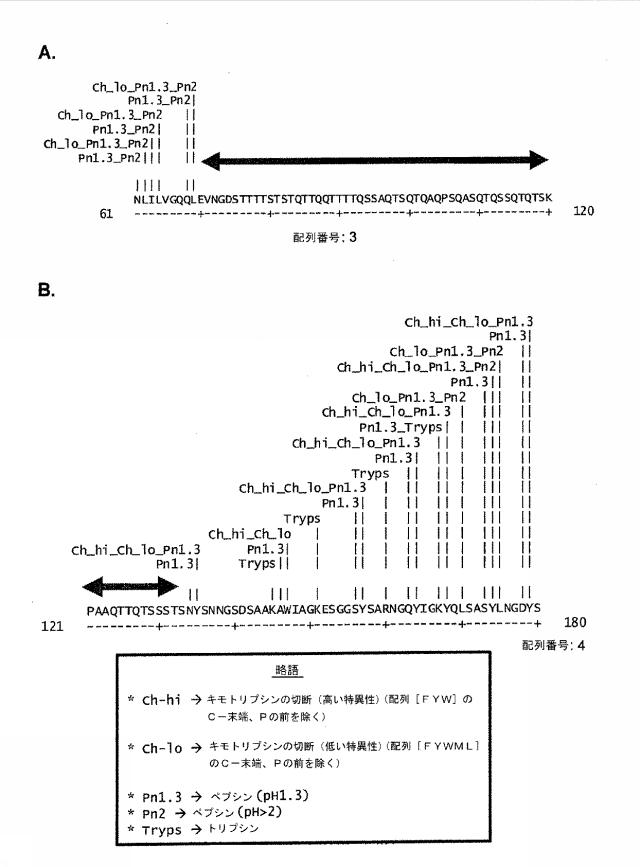 6059230-免疫調節機能を有するＬＡＣＴＯＢＡＣＩＬＬＵＳＰＬＡＮＴＡＲＵＭによって分泌されるペプチド 図000004