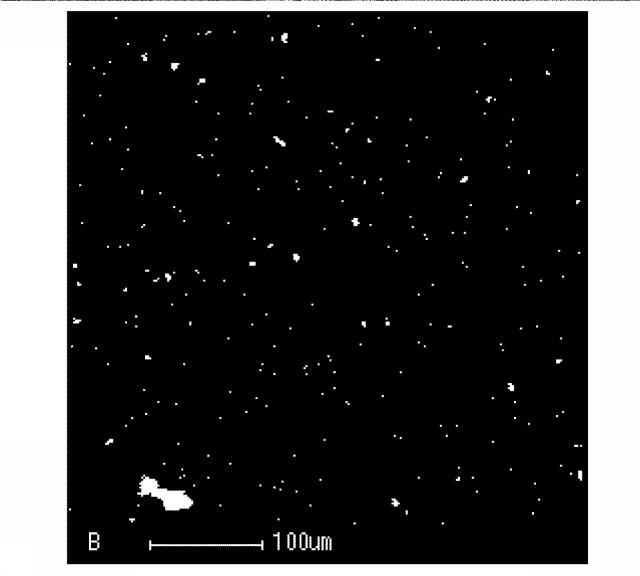 6082617-熱電変換材料およびその製造方法 図000004