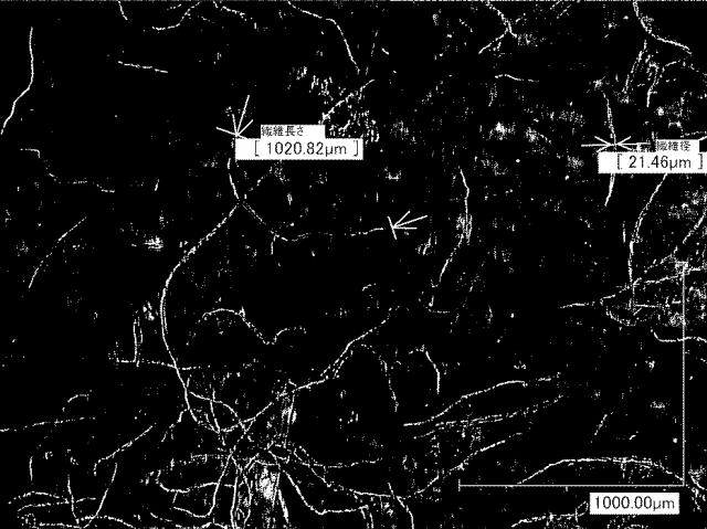 6112475-抽出装置 図000004