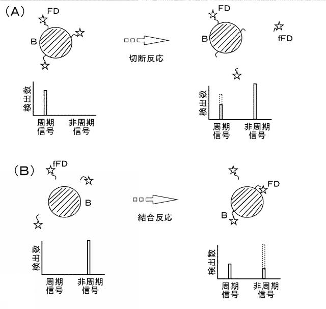 6157326-光検出を用いた単一発光粒子検出方法 図000004