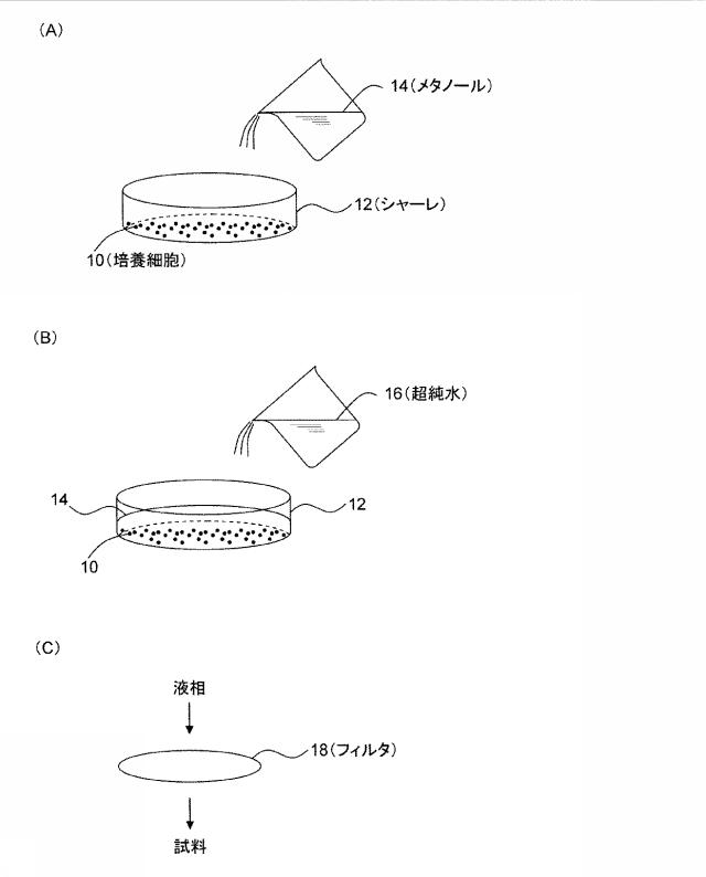 6173667-代謝物の抽出方法 図000004