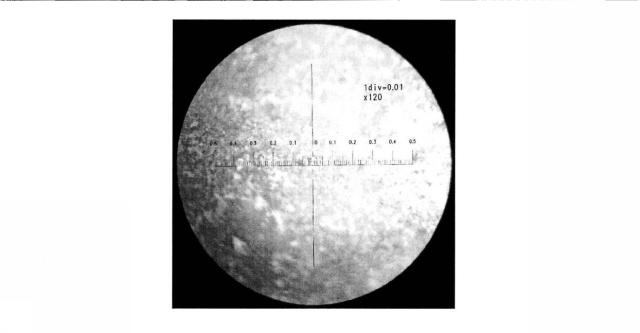 6189902-文化財の表面から白化した合成樹脂を除去する方法 図000004