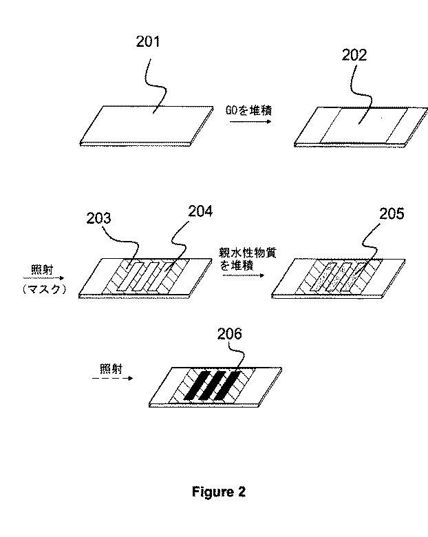 6200094-酸化グラフェンをパターニングする方法及び装置 図000004