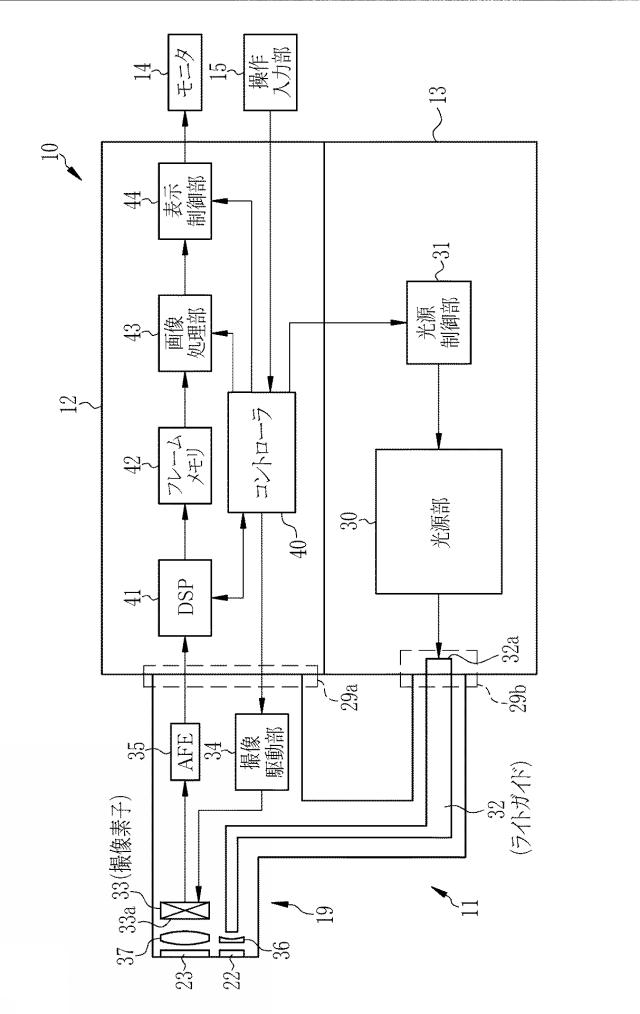 6203127-内視鏡用光源装置及び内視鏡システム 図000004