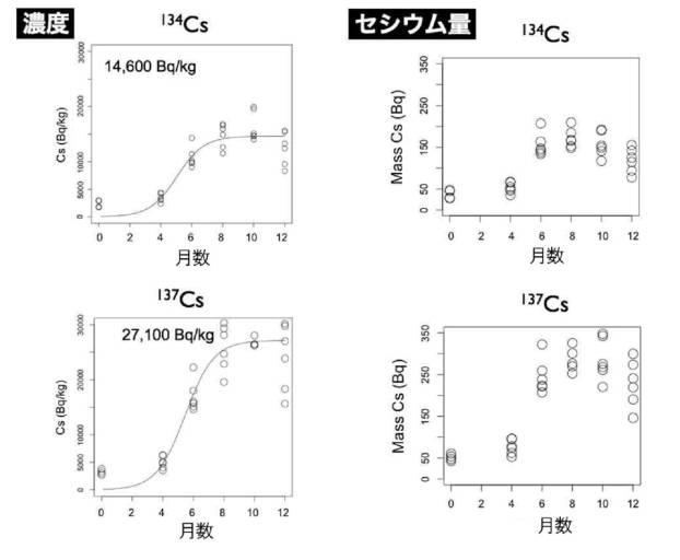 6243184-土壌の放射性セシウム除染方法 図000004