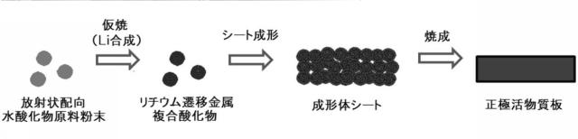 6246079-リチウム二次電池用正極活物質板の製造方法 図000004