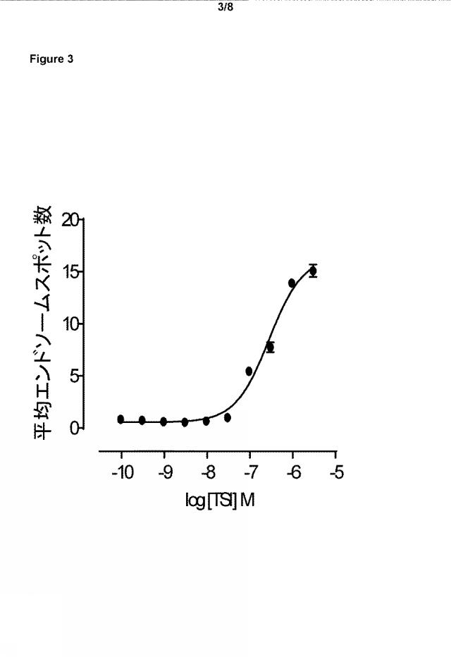 6302475-エンドソーム輸送評価試験法 図000004