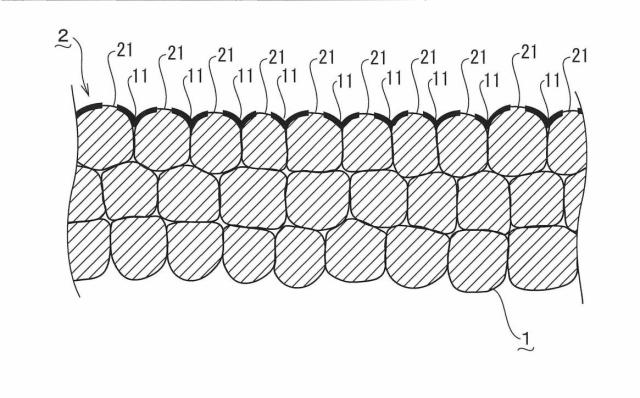 6338056-非透湿フィルム付き発泡断熱材 図000004