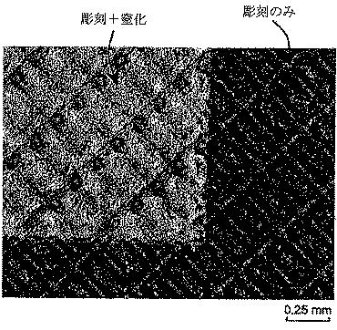 6348066-表面 図000004