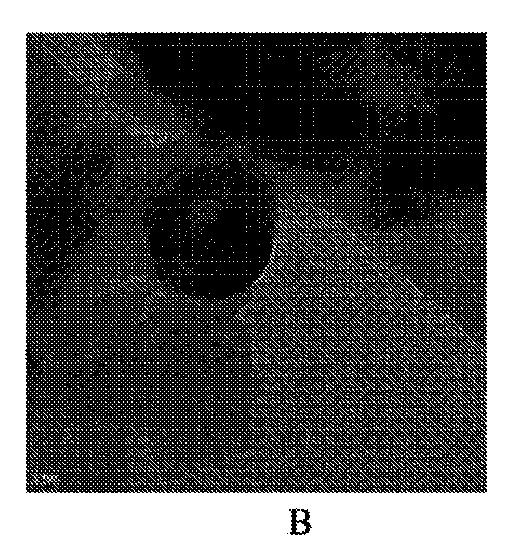 6371764-セレン化１３族ナノ粒子 図000004