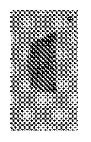 6392366-量子ドットポリマー膜を作製する方法 図000004