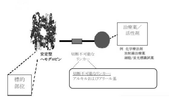 6392855-がん治療および診断イメージングのための修飾ヘモグロビンベース系治療剤を含む医薬組成物 図000004