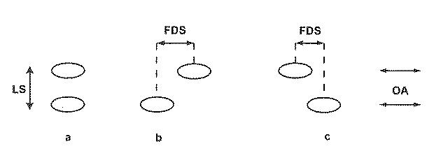 6416160-３Ｄ局在顕微鏡法並びに４Ｄ局在顕微鏡法及び追跡方法並びに追跡システム 図000004