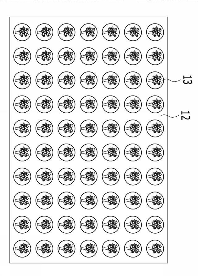 6427548-グラフェン及び無機ナノ物質を用いた自己発熱性及び多機能性を有するベルト添加用物質、それを用いたベルト及びその製造方法 図000004