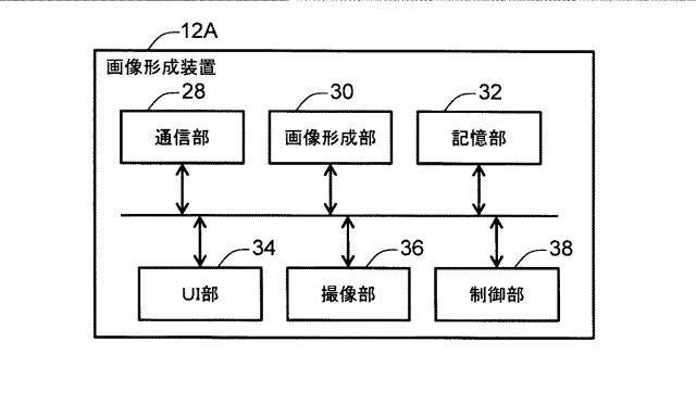 6507863-情報処理装置及びプログラム 図000004