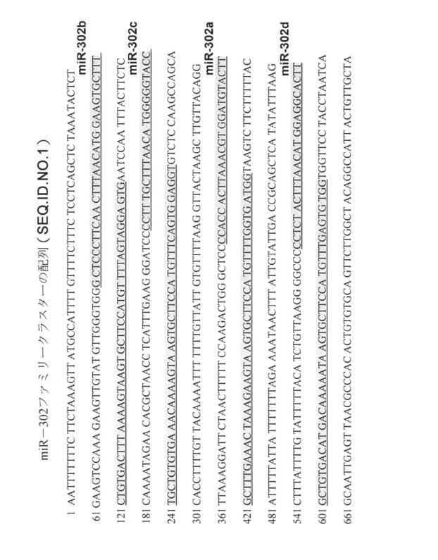 6521981-生体内及び体外で核酸類薬物を送達するための新規な糖アルコール類組成物 図000004