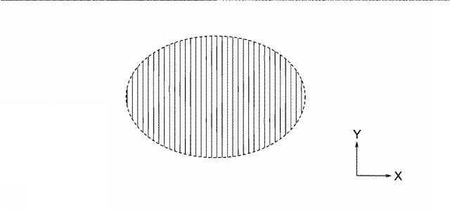 6609917-蛍光光源用発光素子の製造方法 図000004