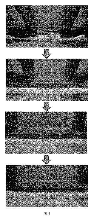 6619873-引張り可能な可撓超疎液性フィルム、その製造方法及び液滴の非破壊性移動方法 図000004