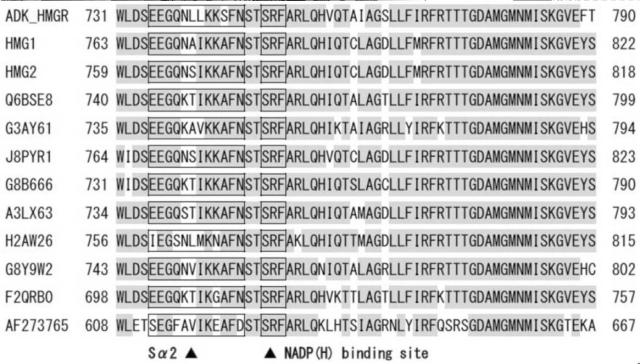 6626819-変異酵素及び前記変異酵素を用いたテルペノイドの製造方法 図000004