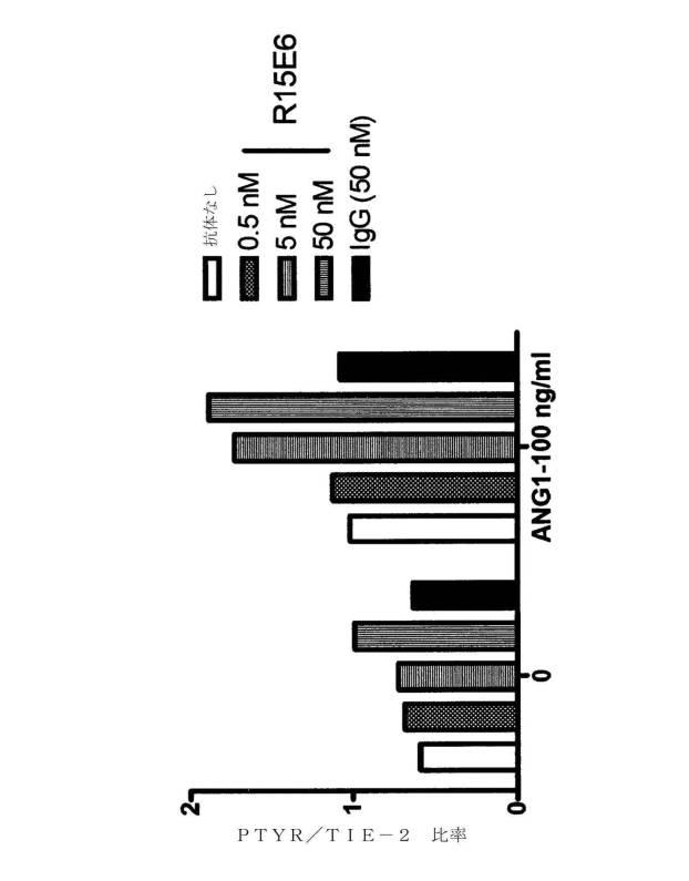 6706367-血管漏出症候群および癌を治療する方法 図000004
