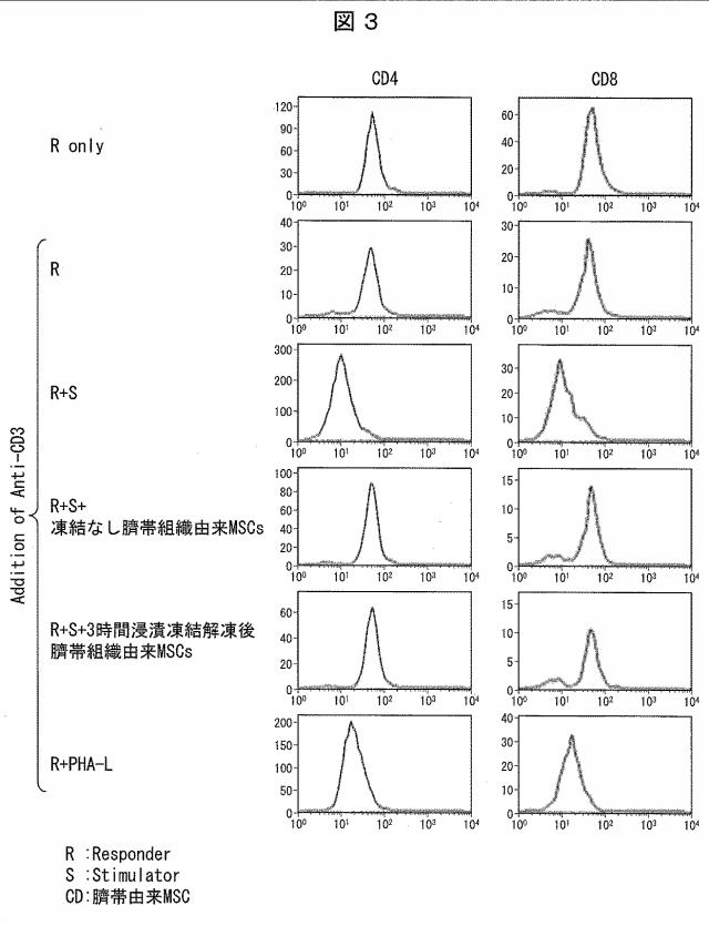 6745449-臍帯組織の凍結保存方法 図000004