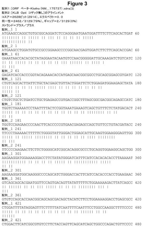 6808842-ＦＧＦ２１応答性レポーター遺伝子細胞株 図000004