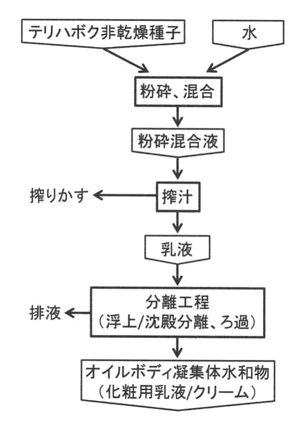 6818209-皮膚外用剤及び皮膚外用剤の製造方法 図000004